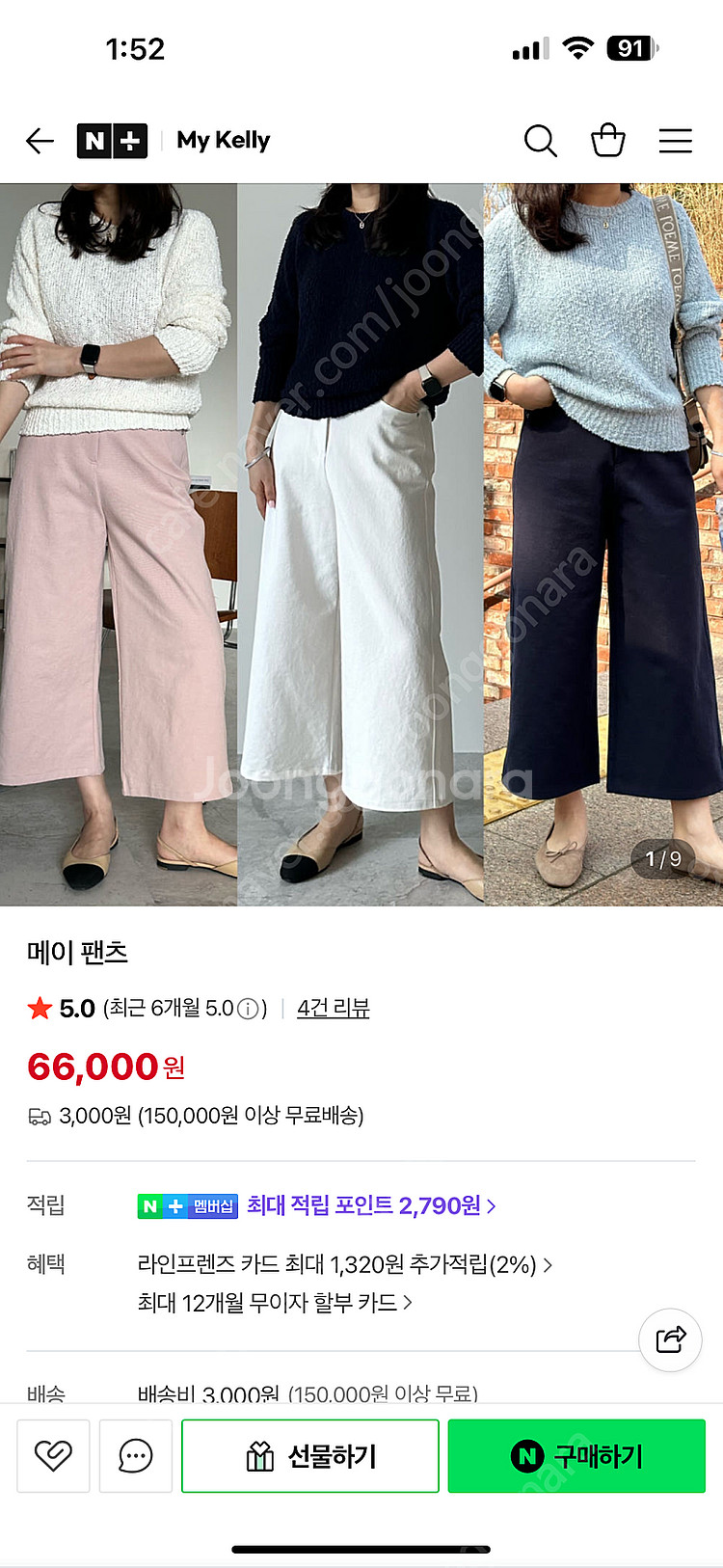 그로브 디그리스 마이켈리 홀릭홀릭--0