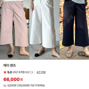 그로브 디그리스 마이켈리 홀릭홀릭