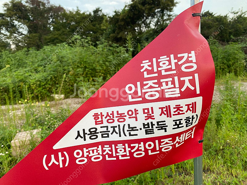 친환경 • 늙은호박과 친구들--5