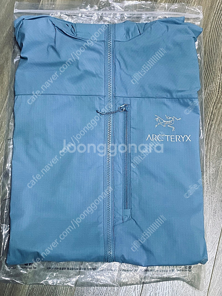 아크테릭스 스쿼미시 후디--0