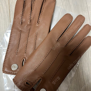 에르메스 장갑 7사이즈