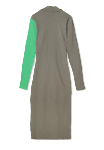 스투시 우먼스 파이크 컬러 블록 드레스 타우페 이미지