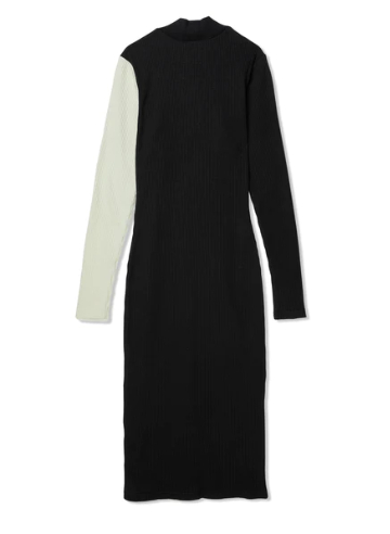 스투시 우먼스 파이크 컬러 블록 드레스 블랙 이미지