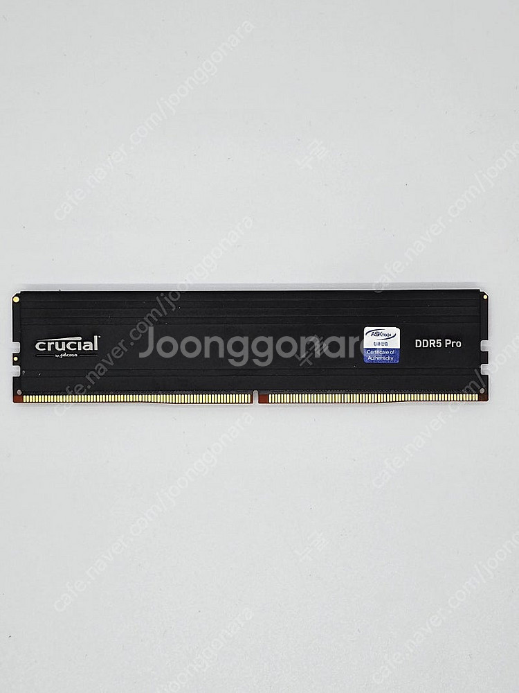 Crucial DDR5 PRO 5600 32GB 램--0