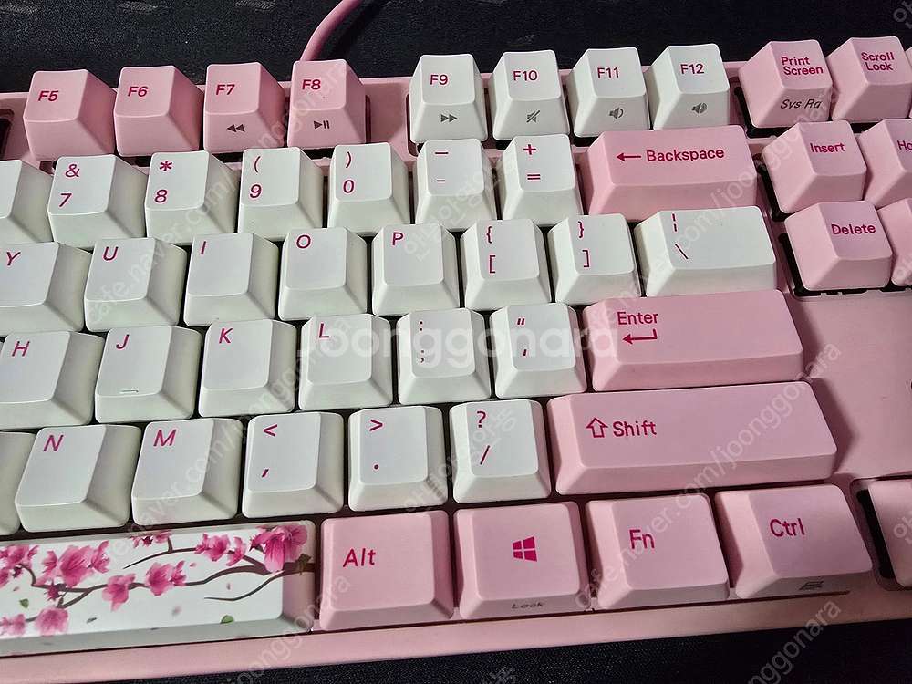 바밀로 VA87M 매화 체리갈축 판매합니다--4