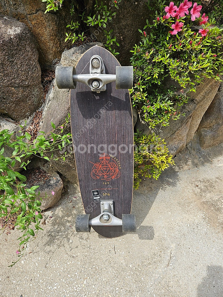 카버 스케이트 보드(carver haedron no.6...--1