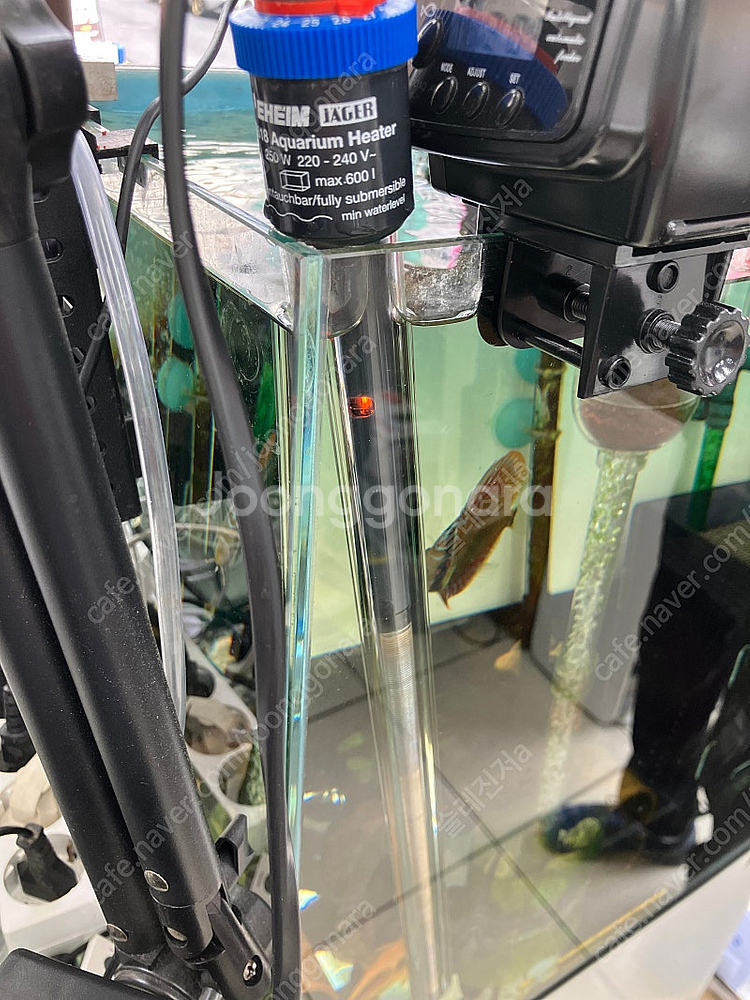 에하임쟈가히터 3개 일괄시 써비스 페리하 300w 5개...--5