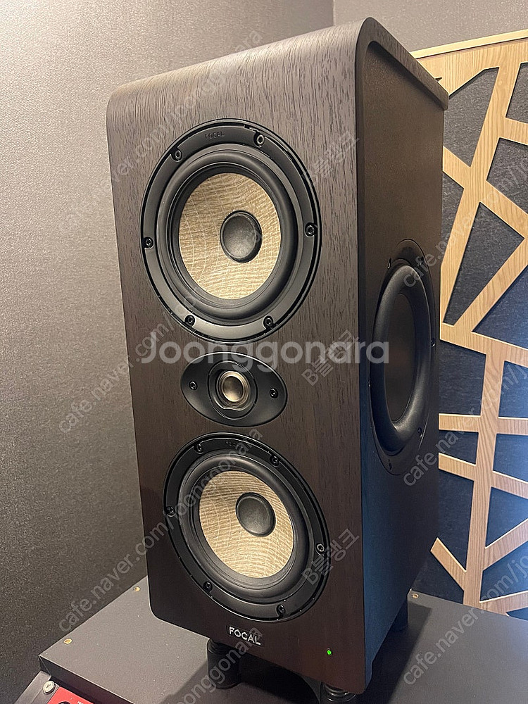 focal Shape Twin 포칼 쉐이프 트윈 초민트...--0