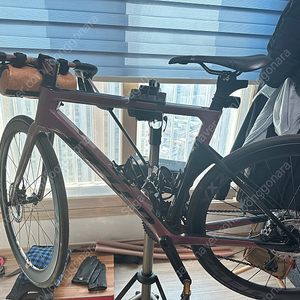 첼로 엘리엇 E8 판매합니다