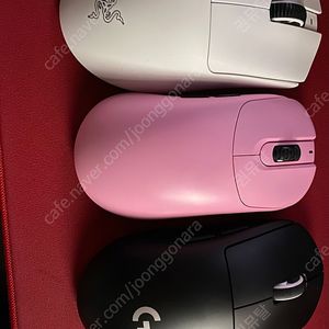 지슈라2