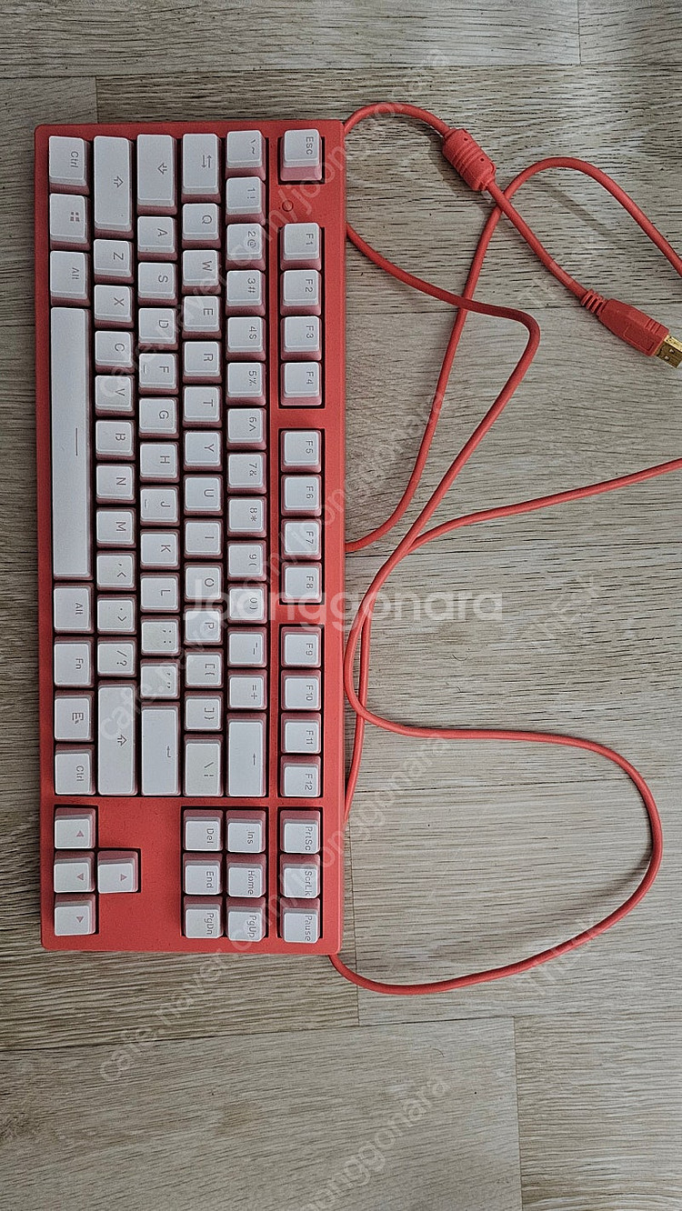 콕스 엔데버 리빙코랄 50g 팝니다.--0