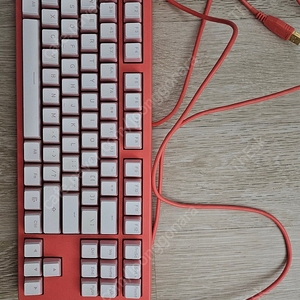 콕스 엔데버 리빙코랄 50g 팝니다.