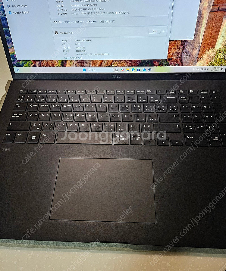 LG GRAM 17 엘지 그램 17인치 13세대 i7 ...--2