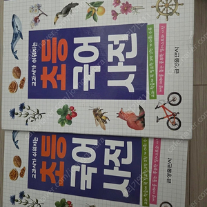 초등국어사전