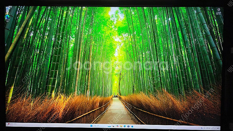 조립PC AMD 5090x, 3090FE, SSD 2T...--0