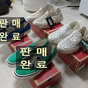반스 255 4종류 (어센틱 에너하임 44 DX, 컴피쿠시 원, 아마존 파쿠)