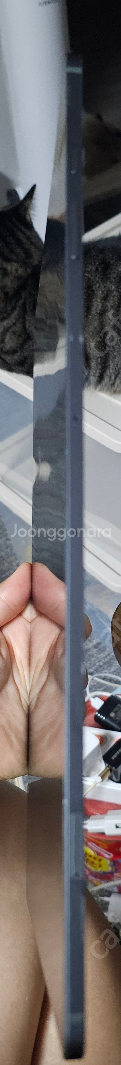 갤럭시탭s9 울트라 256기가 5g 셀룰러 팝니다--8