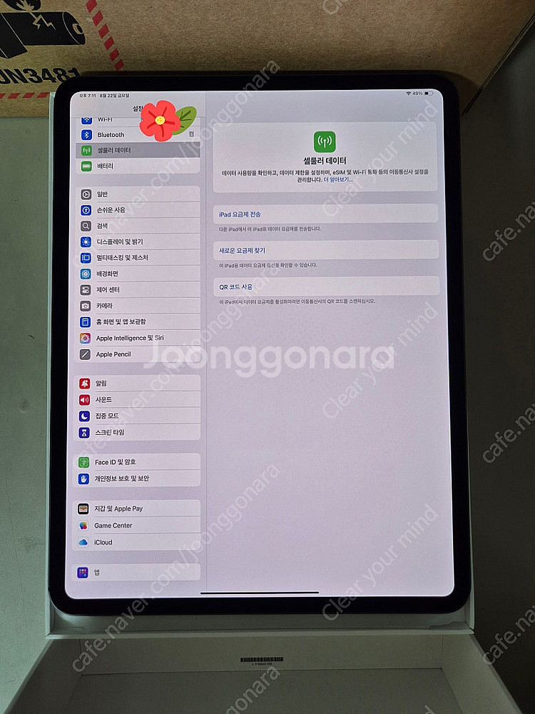 (새제품) 아이패드 프로 M4 13 셀룰러 512GB--5