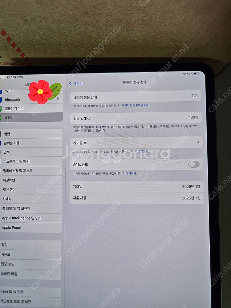 (새제품) 아이패드 프로 M4 13 셀룰러 512GB--7