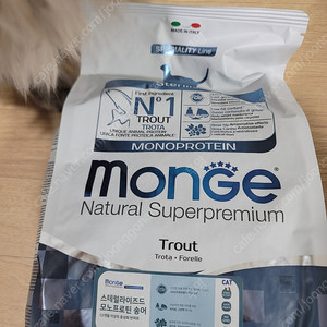 몬지 lid 모노프로틴 송어 미개봉 1.5kg 고양이