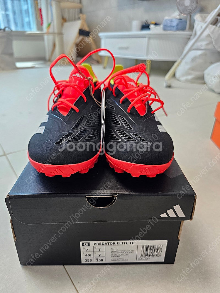 (풀박스 새상품) 아디다스 프레데터 엘리트 TF 255mm--0