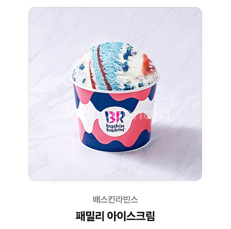 배스킨라빈스 패밀리 아이스크림 약 20% 할인 배라 패...--0