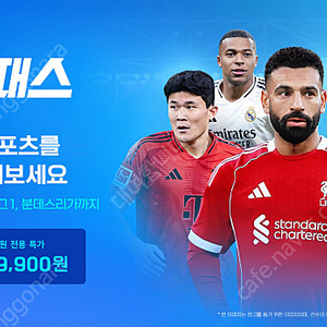 (토트넘X) 스포츠패스 1경기 대여합니다