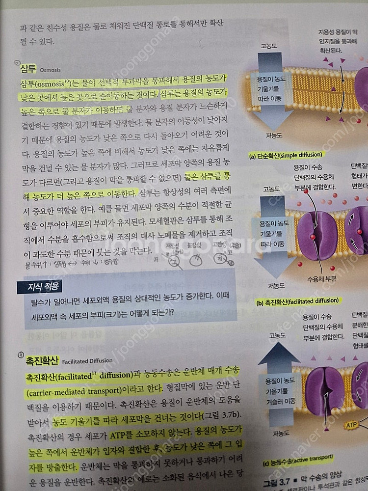 인체 구조와 기능--1