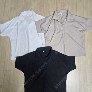 카라 블라우스 3종
