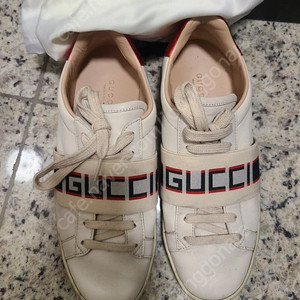 구찌정품 롯데본점구매 235~240분들