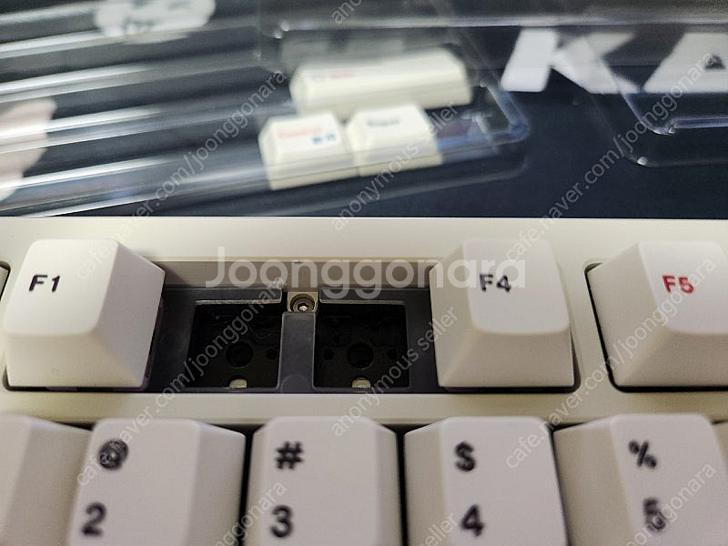 레이니 치즈화이트 중옵 + 크러쉬 키캡--8