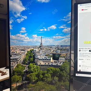 LG 울트라기어 32GS95UV OLED 모니터 팝니다.