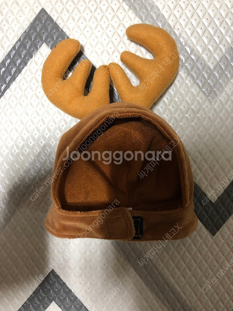강아지 옷 개당 5천원--3