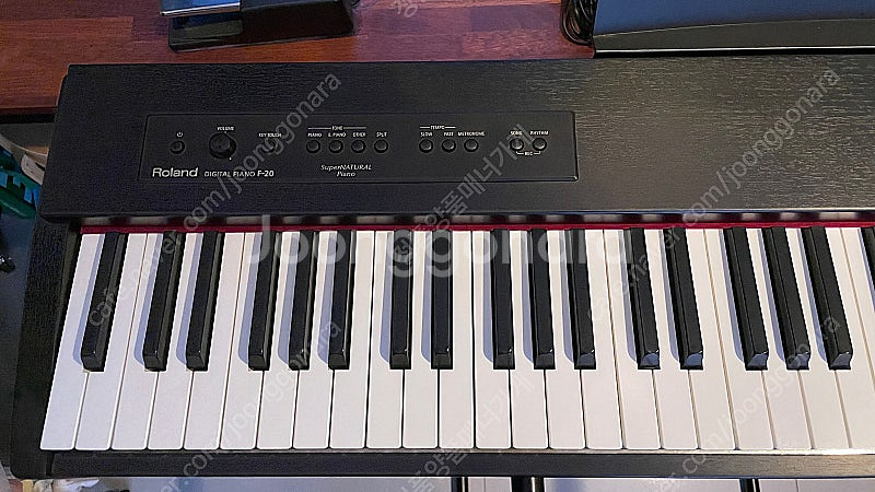 롤랜드 디지털 피아노 F-20--1