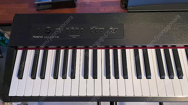 롤랜드 디지털 피아노 F-20--1