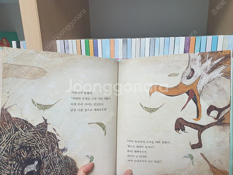 주니어플라톤 베이스캠프 47권. 택포--4