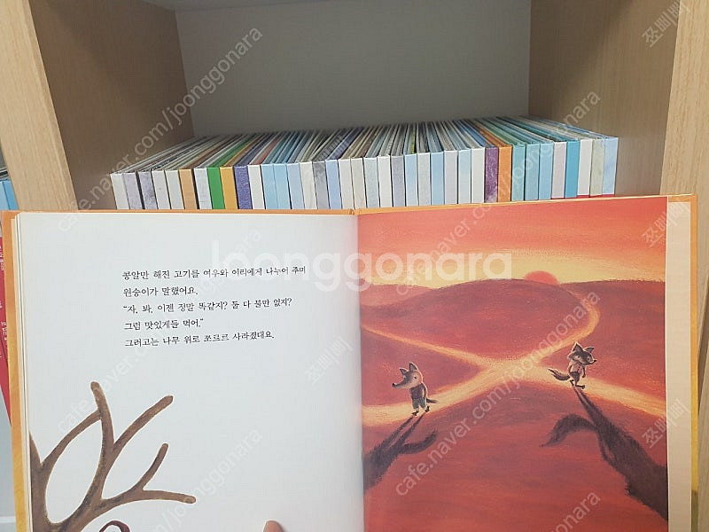 주니어플라톤 베이스캠프 47권. 택포--7