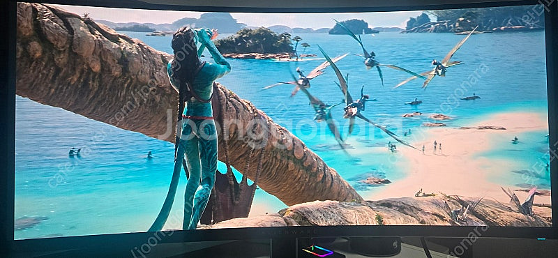 델 에일리언웨어 aw3423dw OLED 모니터 급매합...--0