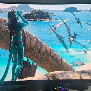 델 에일리언웨어 aw3423dw OLED 모니터 급매합니다