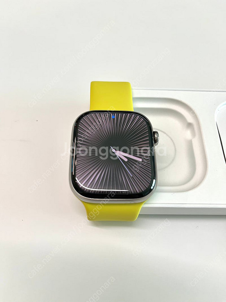 [2차 가격 인하] 애플워치 10 내추럴티타늄 46mm...--0