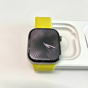 [2차 가격 인하] 애플워치 10 내추럴티타늄 46mm / 솔로루프 스타프루트 5사이즈
