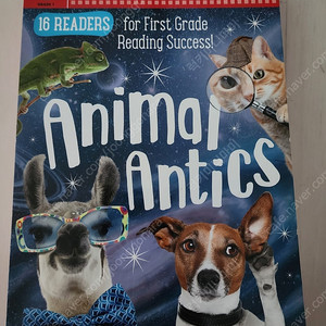 Scholastic 리더스 세트 16권(새책) + 13권(거의새책)