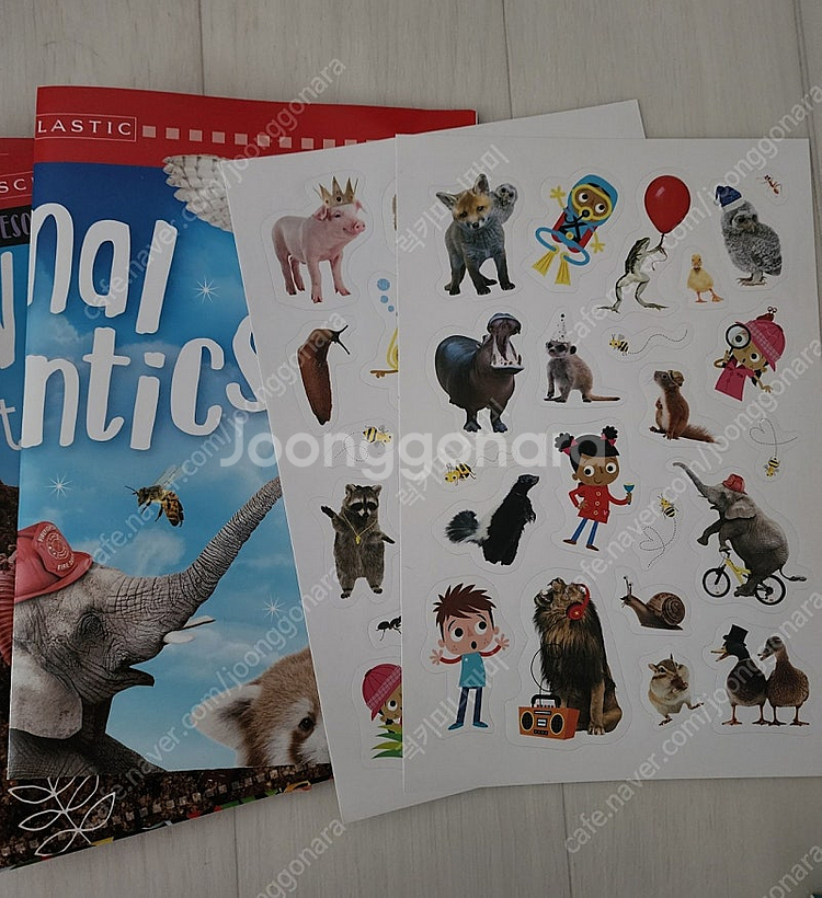 Scholastic 리더스 세트 16권(새책) + 13...--1