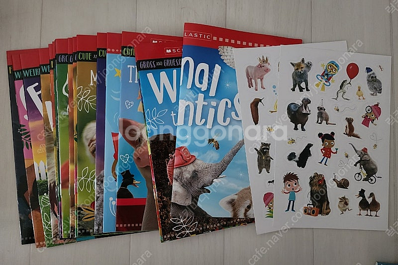 Scholastic 리더스 세트 16권(새책) + 13...--2