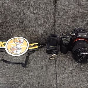 A7S2와 50.8렌즈 팝니다.