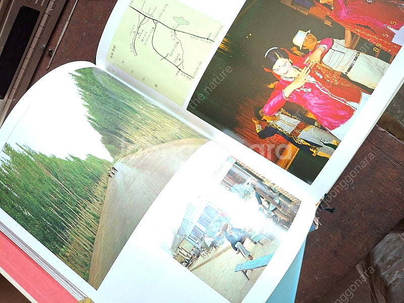 중국대륙의문화 신라천년사. 각--7