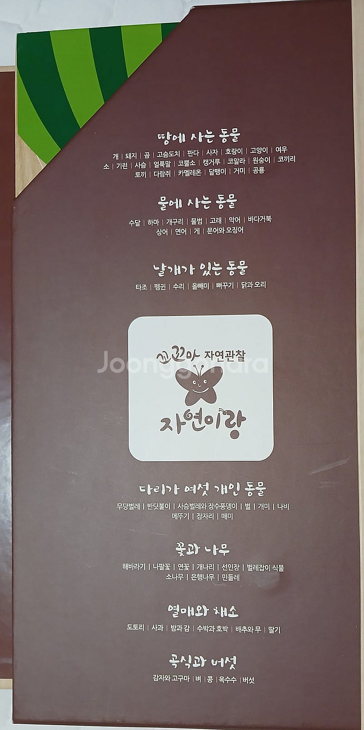 꼬꼬마 자연관찰 자연이랑 DVD 함께노래해요DVD 포함...--1