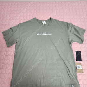 Nike ACG Dri-Fit T-Shirt Dark Stucco - Asia XXL