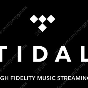 Tidal 타이달 한달 2500원 패밀리