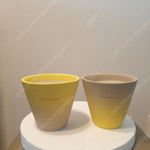 카네즈센 삼월팟 2개 새상품